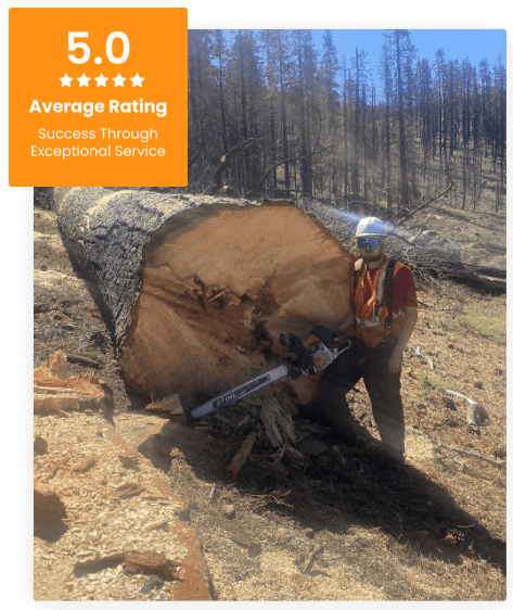 About Precision Timber Works