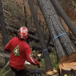 Fire Hardening and Defensible Space